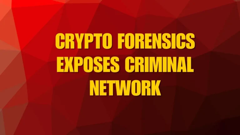 Crypto-Forensics-Exposes-Criminal-Network