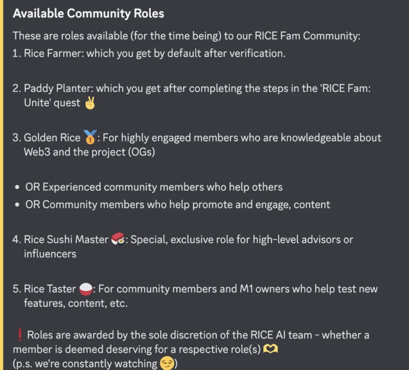 RICE AI DISCORD TASK